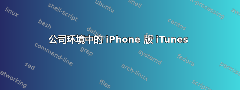 公司环境中的 iPhone 版 iTunes