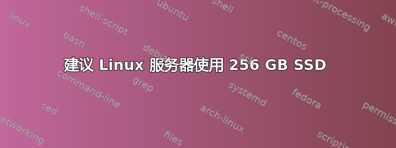 建议 Linux 服务器使用 256 GB SSD