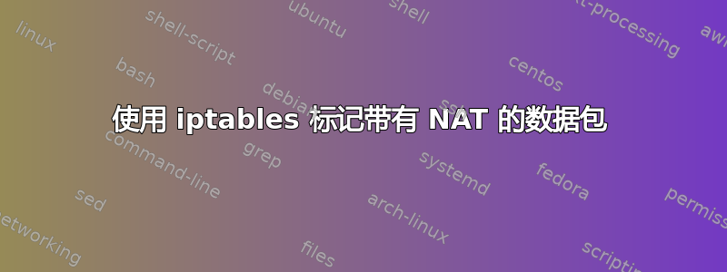 使用 iptables 标记带有 NAT 的数据包