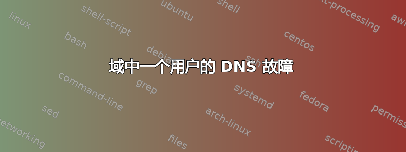 域中一个用户的 DNS 故障