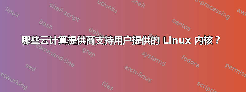 哪些云计算提供商支持用户提供的 Linux 内核？