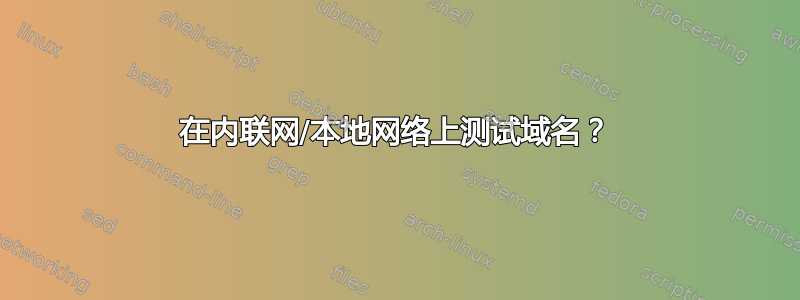 在内联网/本地网络上测试域名？