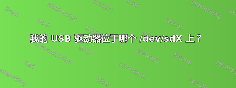 我的 USB 驱动器位于哪个 /dev/sdX 上？