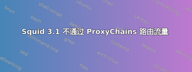 Squid 3.1 不通过 ProxyChains 路由流量