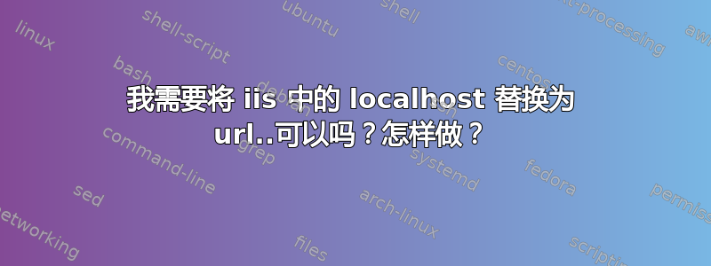 我需要将 iis 中的 localhost 替换为 url..可以吗？怎样做？