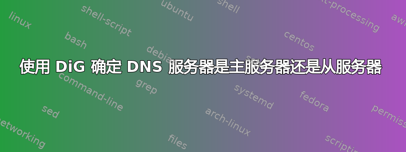 使用 DiG 确定 DNS 服务器是主服务器还是从服务器