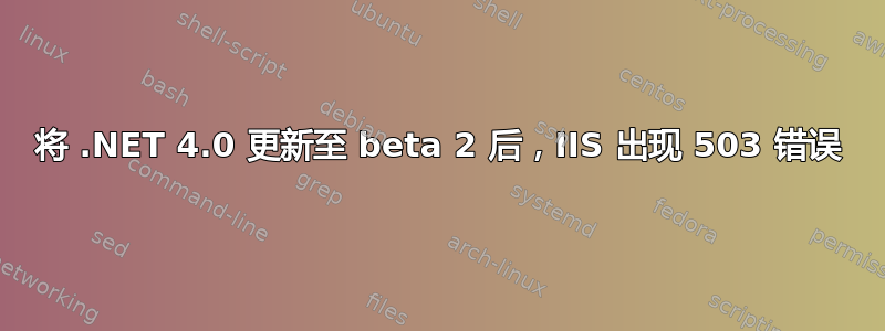 将 .NET 4.0 更新至 beta 2 后，IIS 出现 503 错误