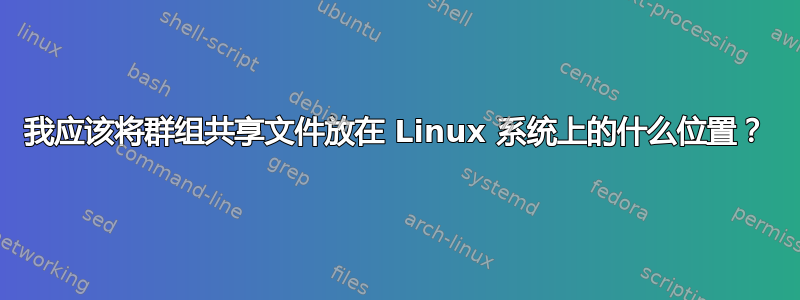 我应该将群组共享文件放在 Linux 系统上的什么位置？