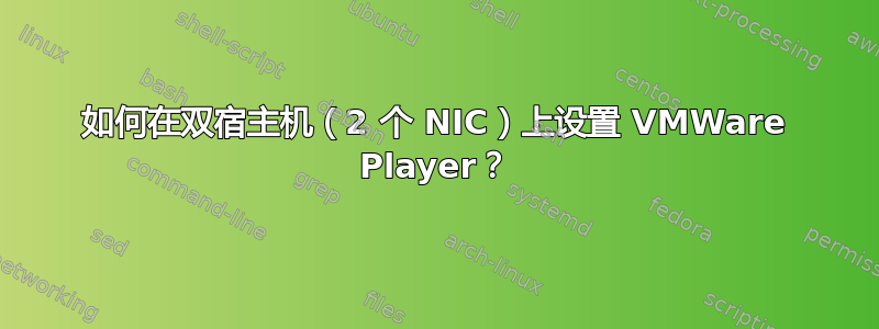 如何在双宿主机（2 个 NIC）上设置 VMWare Player？