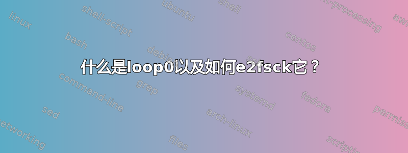 什么是loop0以及如何e2fsck它？