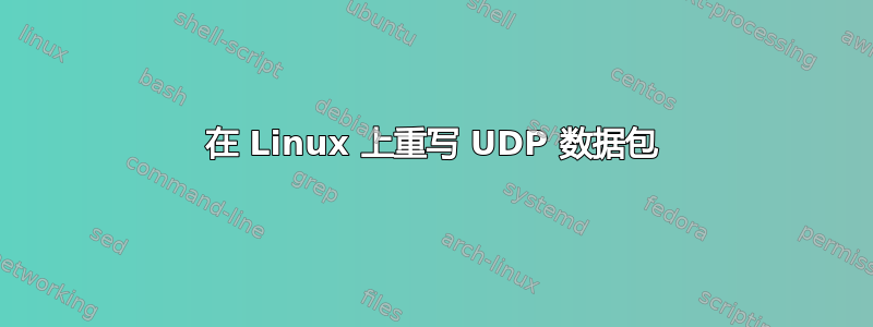 在 Linux 上重写 UDP 数据包