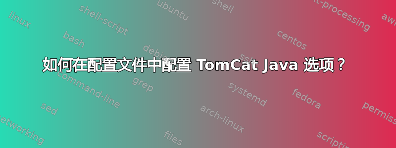 如何在配置文件中配置 TomCat Java 选项？