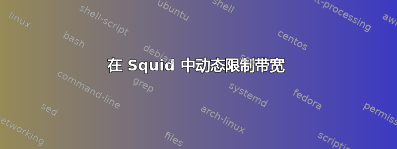 在 Squid 中动态限制带宽