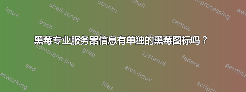 黑莓专业服务器信息有单独的黑莓图标吗？