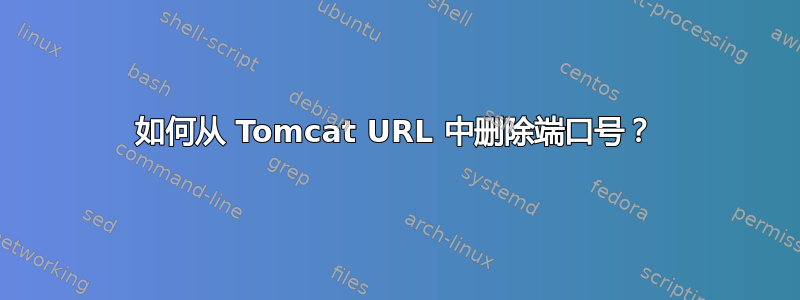 如何从 Tomcat URL 中删除端口号？