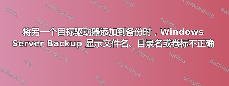 将另一个目标驱动器添加到备份时，Windows Server Backup 显示文件名、目录名或卷标不正确