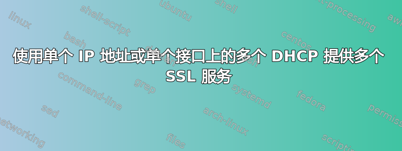 使用单个 IP 地址或单个接口上的多个 DHCP 提供多个 SSL 服务