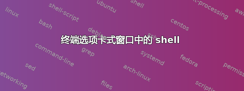 终端选项卡式窗口中的 shell