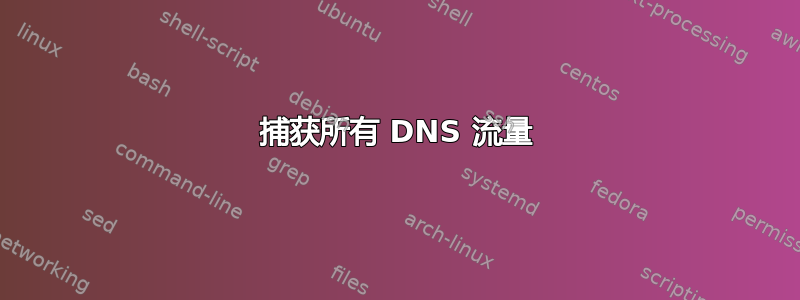 捕获所有 DNS 流量