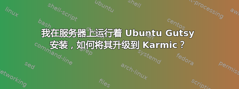 我在服务器上运行着 Ubuntu Gutsy 安装，如何将其升级到 Karmic？