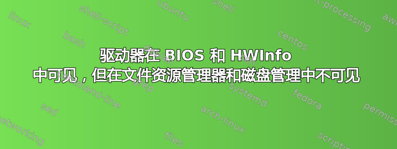 驱动器在 BIOS 和 HWInfo 中可见，但在文件资源管理器和磁盘管理中不可见