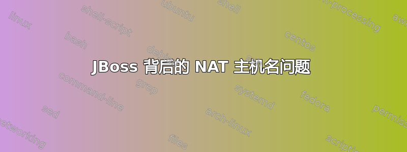 JBoss 背后的 NAT 主机名问题