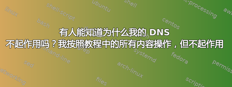 有人能知道为什么我的 DNS 不起作用吗？我按照教程中的所有内容操作，但不起作用