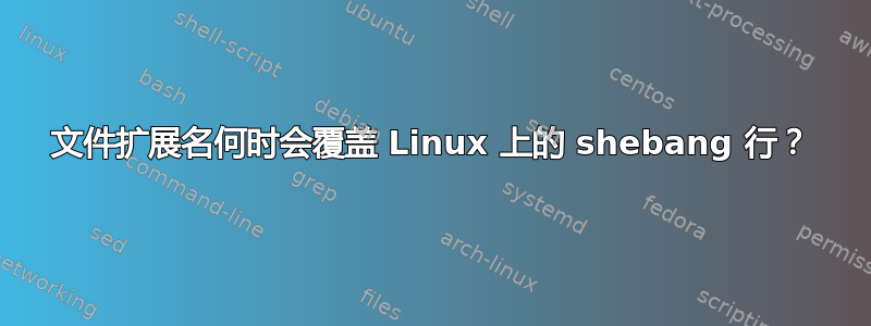 文件扩展名何时会覆盖 Linux 上的 shebang 行？