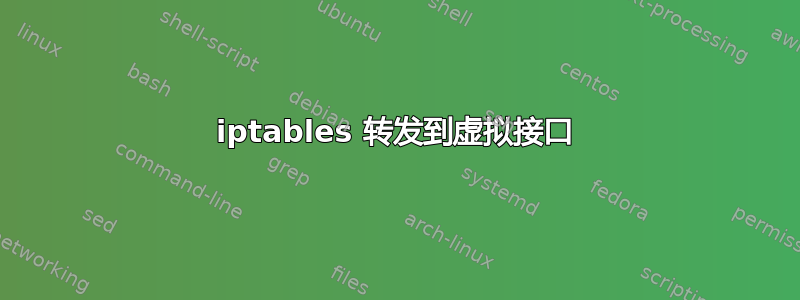 iptables 转发到虚拟接口