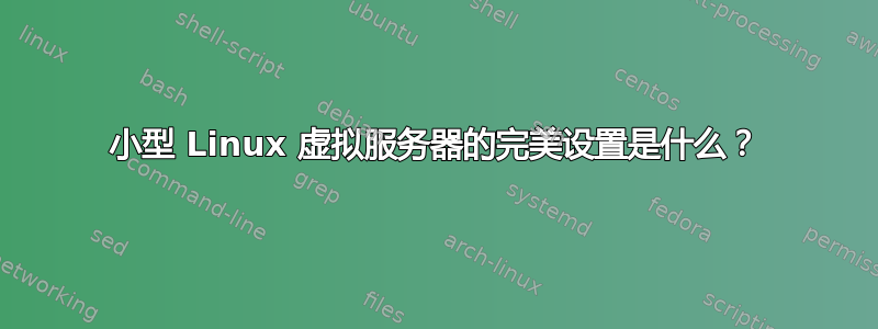 小型 Linux 虚拟服务器的完美设置是什么？