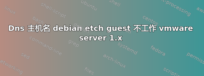 Dns 主机名 debian etch guest 不工作 vmware server 1.x