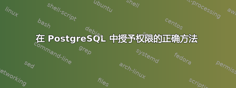 在 PostgreSQL 中授予权限的正确方法