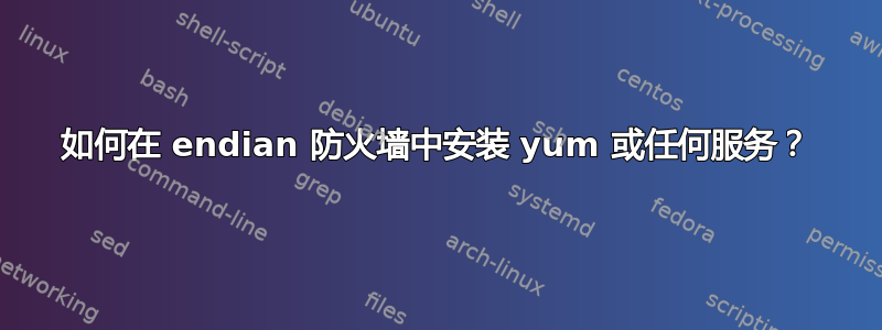 如何在 endian 防火墙中安装 yum 或任何服务？