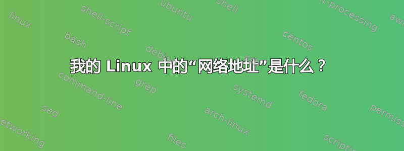 我的 Linux 中的“网络地址”是什么？