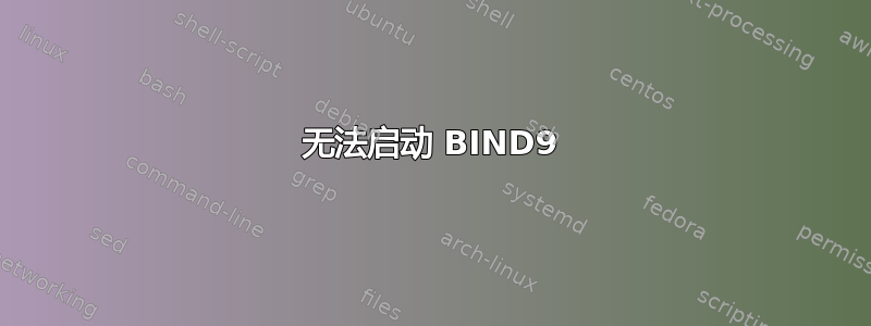 无法启动 BIND9