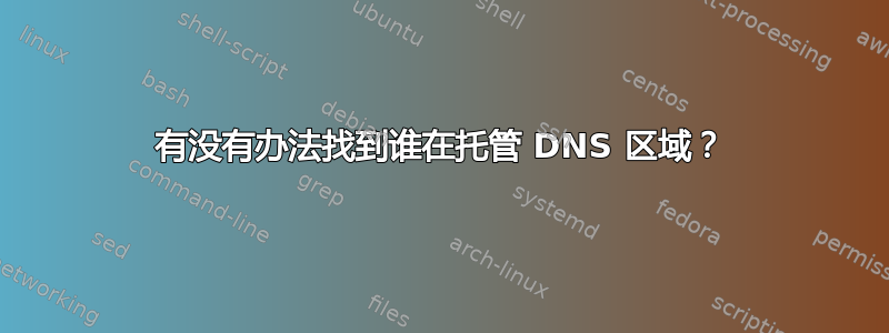 有没有办法找到谁在托管 DNS 区域？