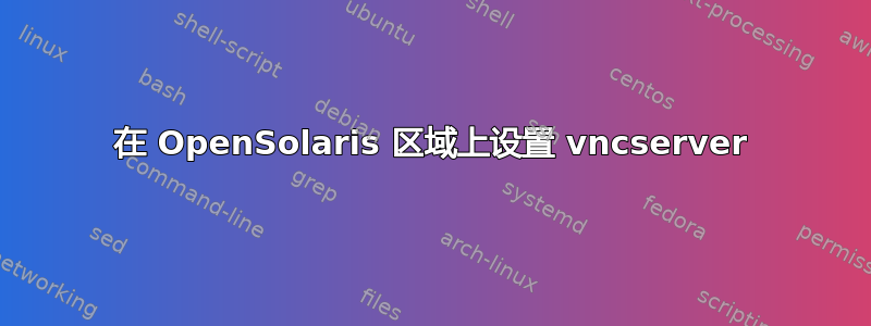 在 OpenSolaris 区域上设置 vncserver