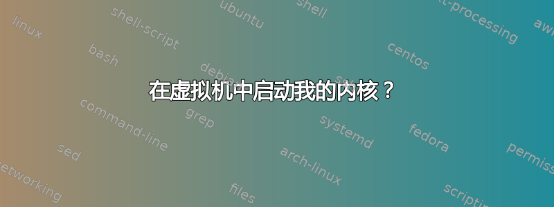 在虚拟机中启动我的内核？