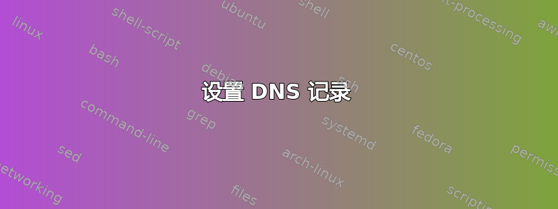 设置 DNS 记录