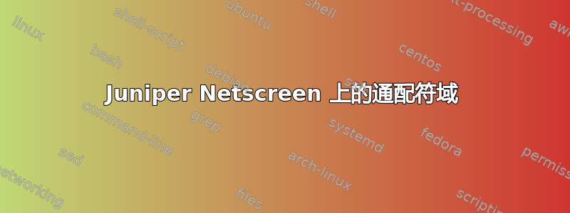 Juniper Netscreen 上的通配符域