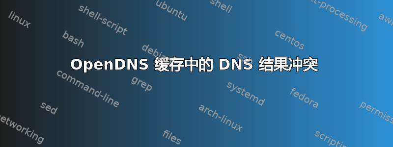 OpenDNS 缓存中的 DNS 结果冲突