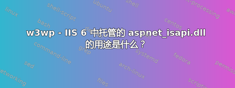 w3wp - IIS 6 中托管的 aspnet_isapi.dll 的用途是什么？