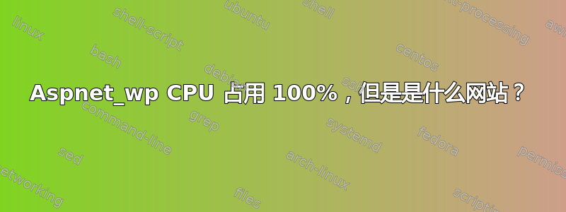 Aspnet_wp CPU 占用 100%，但是是什么网站？