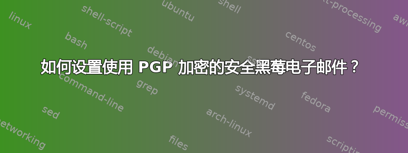 如何设置使用 PGP 加密的安全黑莓电子邮件？