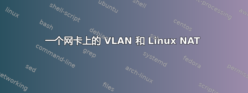 一个网卡上的 VLAN 和 Linux NAT