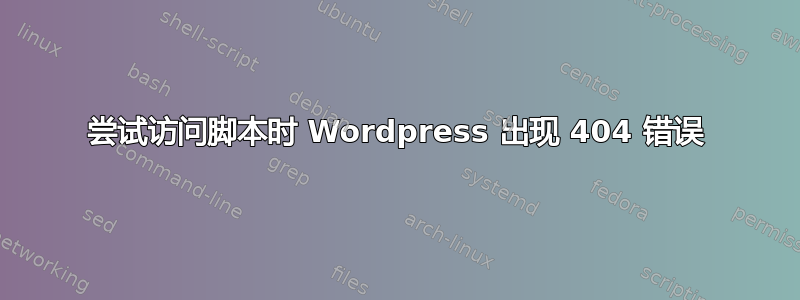 尝试访问脚本时 Wordpress 出现 404 错误