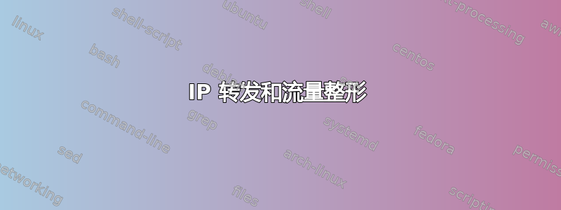 IP 转发和流量整形