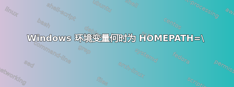 Windows 环境变量何时为 HOMEPATH=\