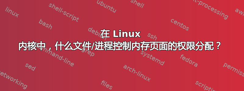 在 Linux 内核中，什么文件/进程控制内存页面的权限分配？