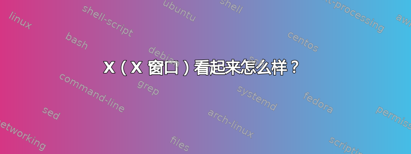 X（X 窗口）看起来怎么样？